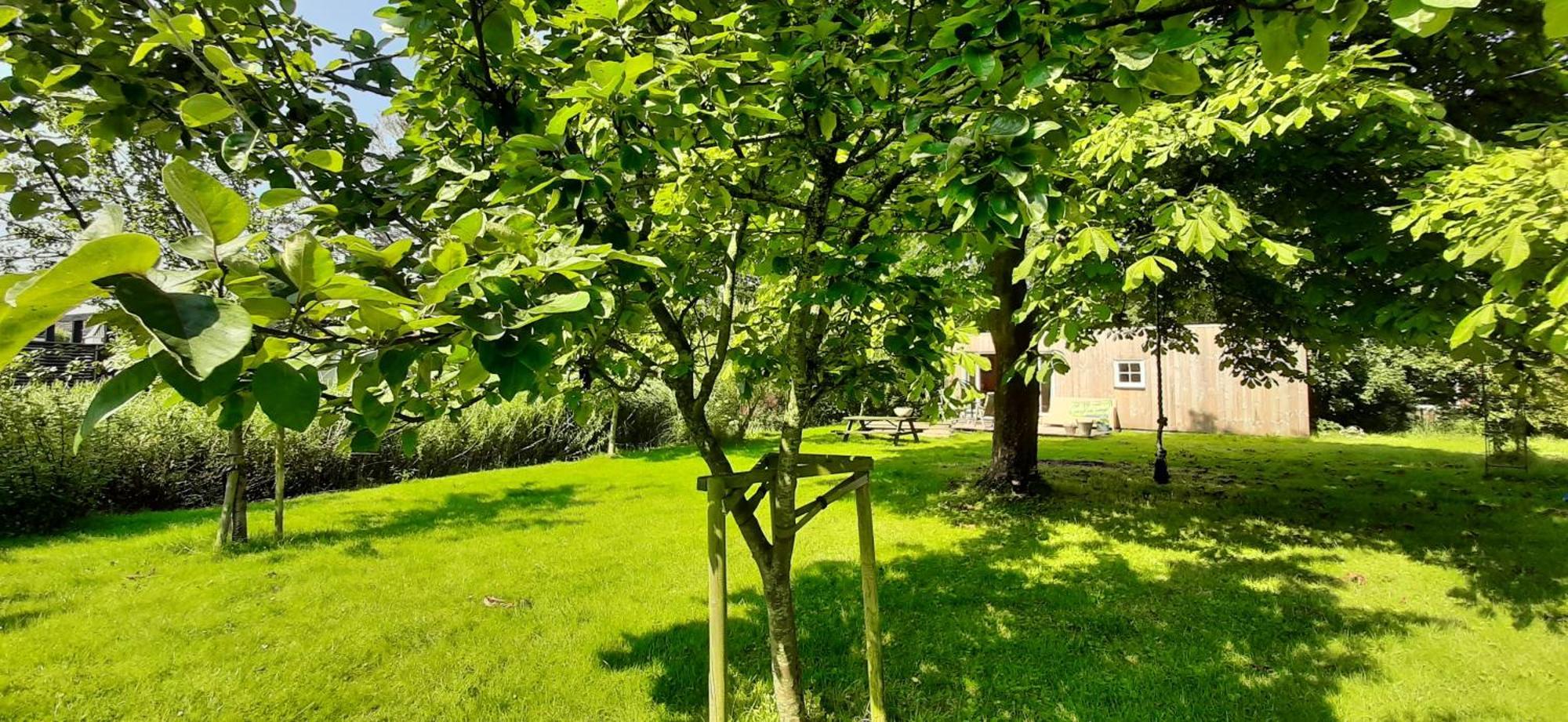 Tobornottob Villa Oosternijkerk Eksteriør billede
