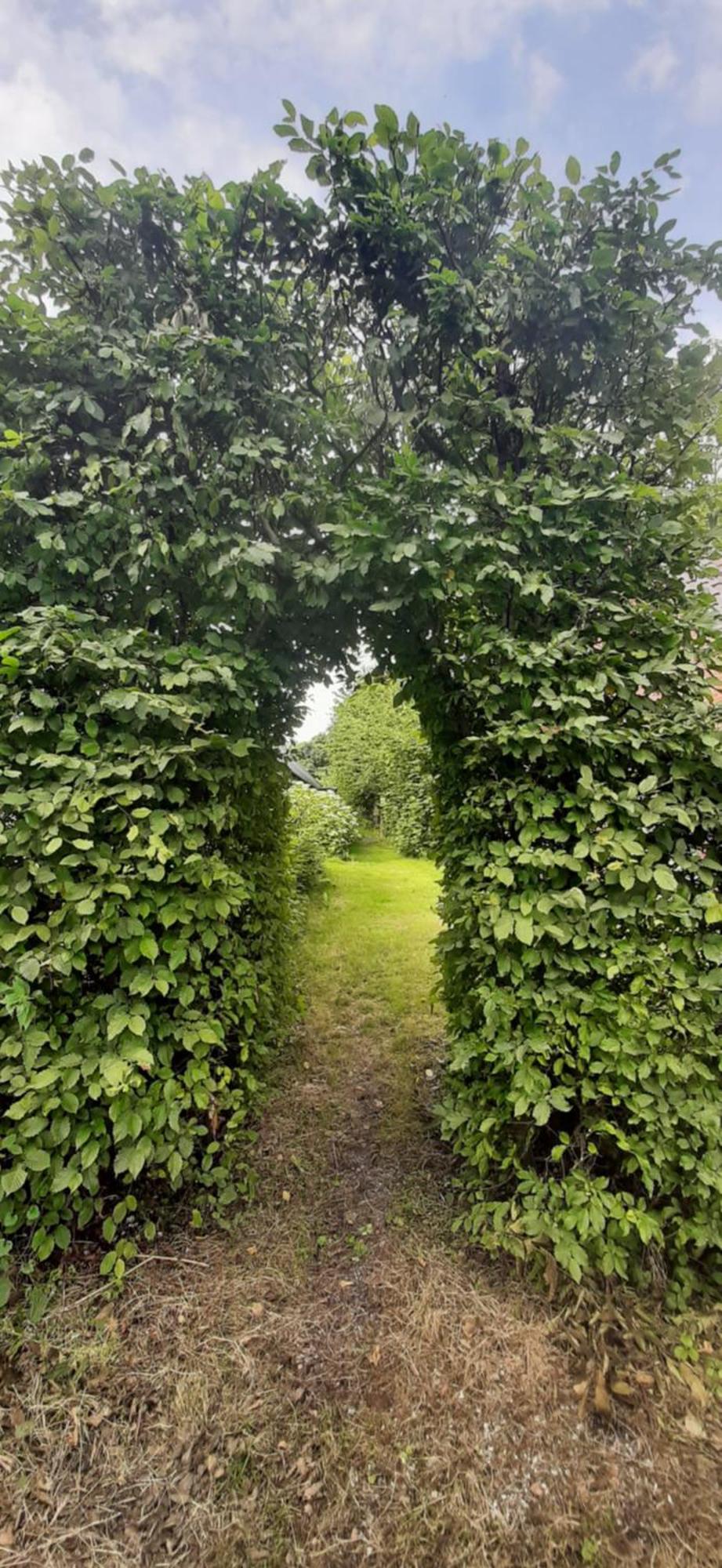 Tobornottob Villa Oosternijkerk Eksteriør billede